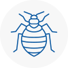 Bed Bug Extermination In East Kilbride